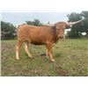 Image 1 : 4C CHLOE ON THE C