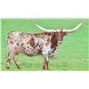 Image 1 : YR Bourbon Beauty