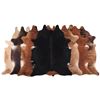 Image 1 : Brown/Beige/Black/Tornasol/Brindle Hair-On Cowhide