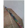 Image 2 : * Salomon Elan Downhill Skis - 77" Long - CANNOT SHIP