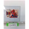 Image 1 : Jaroslav Halak Montreal Canadians Jersey Hockey Trading Card- Cannot Authenticate