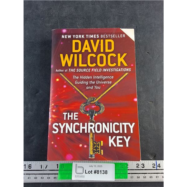The Synchronicity Book by David Wilcock