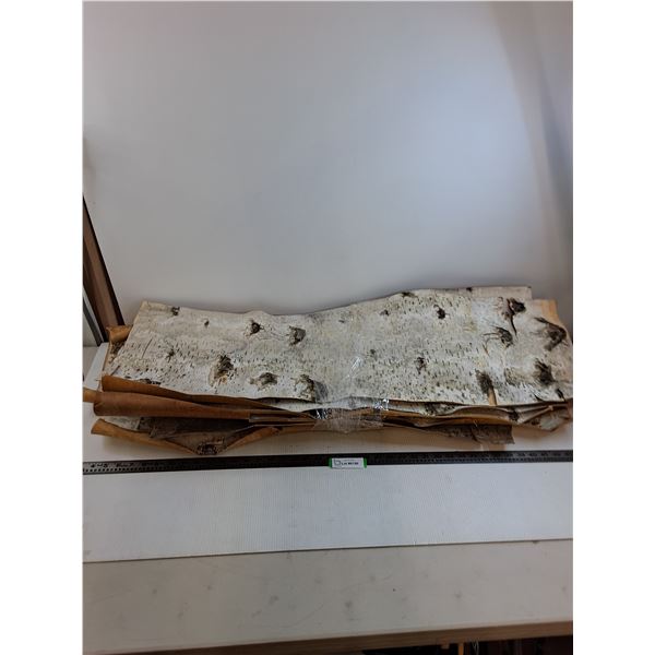Assorted Strips of Birch Tree Bark - Largest 42" x 15" Approx - Pickup Only