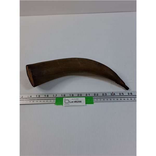 Bull Horn w/Wood Interior - 12" Long