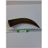Image 1 : Bull Horn w/Wood Interior - 12" Long