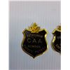 Image 2 : (2) CAA School Patrol Metal Badges