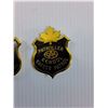 Image 3 : (2) CAA School Patrol Metal Badges