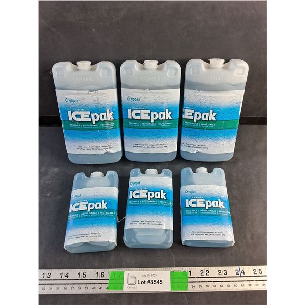 (6) Ice Packs