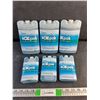 Image 1 : (6) Ice Packs