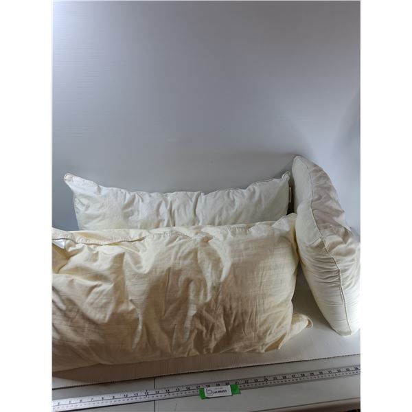 (3) Pillows - Pick Up