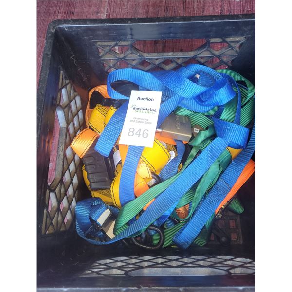 Cat Ratchet Straps & More B