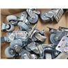 Image 4 : Castors A