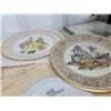 Image 24 : Collector Plates A