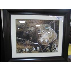 Framed Print 'lynx'