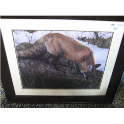 Framed Print 'wolf'