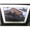Image 1 : Framed Print 'wolf'