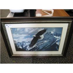 Framed Print 'eagle'