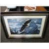 Image 1 : Framed Print 'eagle'