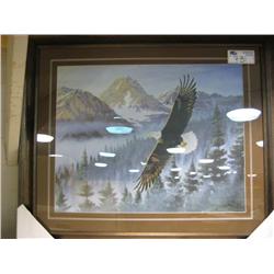 Framed Print 'eagle'