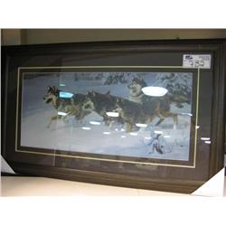 Framed Print 'huskies'