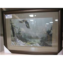 Framed Print 'eagle'