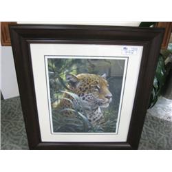 Framed Print 'leopard'