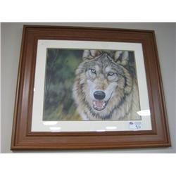 Framed Print 'wolf'