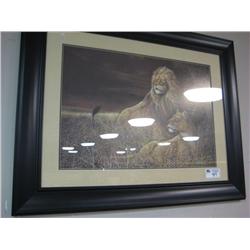 Framed Print '2 Lions'