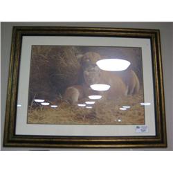 Framed Print 'lion And Cub'