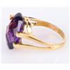 Image 2 : ~12.0CT OVAL AMEHTYST 18K YELLOW GOLD RING