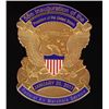Image 2 : 58TH INAUGURATION U.S. AIR MARSHAL BADGE SET