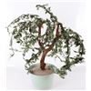 Image 1 : VINTAGE GLASS CARVED BONSAI TREE W/ POT