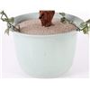 Image 5 : VINTAGE GLASS CARVED BONSAI TREE W/ POT