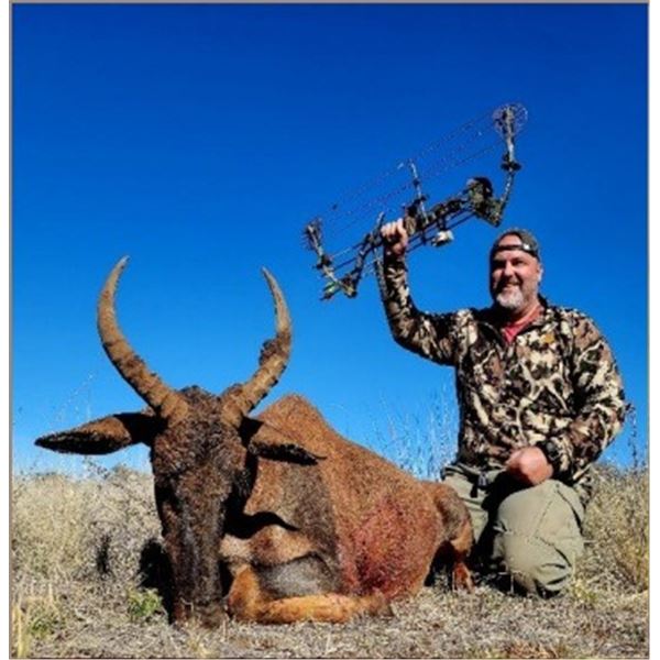 Marupa Safaris South Africa - Northern Cape for 2 Hunters