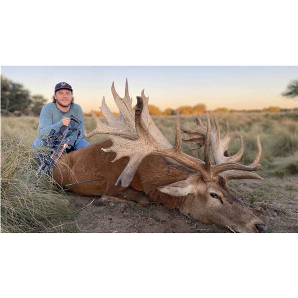 BIG GAME HUNTING TRIP - NORTHERN PATAGONIA, ARGENTINA