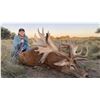 Image 1 : BIG GAME HUNTING TRIP - NORTHERN PATAGONIA, ARGENTINA