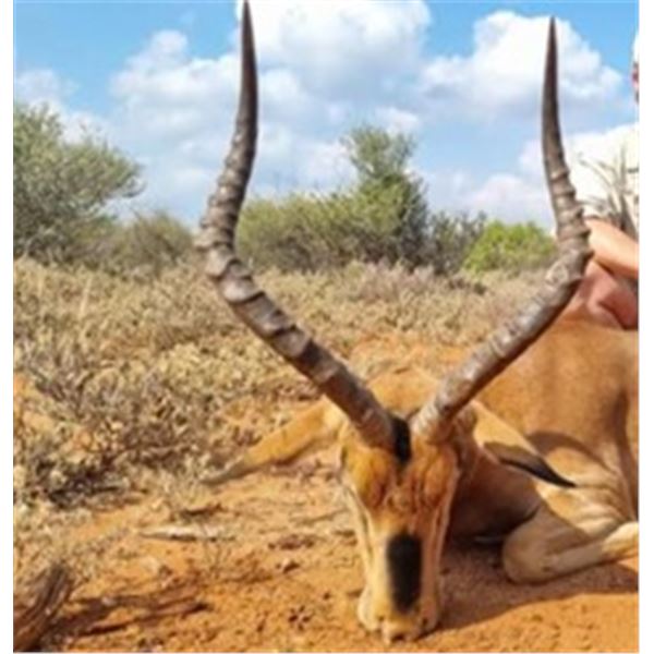 South Africa 7-day, 2 hunter safari