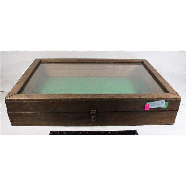 LARGE COLLECTION DISPLAY CASE