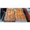 Image 1 : TWO TRAYS OF 18W 12V BA15S BASE REPLACEMENT LIGHT BULBS