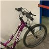 Image 3 : PURPLE CCM BIKE