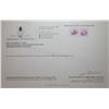 Image 3 : 21.57 CT AUTHENTICATED KUNZITE GEMSTONE PAIR - ($11,325 APPRAISAL)