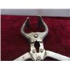 Image 2 : Vintage Burdizzo Bull Castration Tools & Nose Lead 