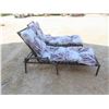 Image 2 : 2 Loungers with Cushions 