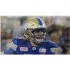 Image 2 : Framed Winnipeg Blue Bombers Photo
