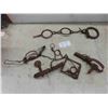 Image 1 : Variety of Traps 