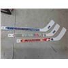 Image 2 : Winnipeg Jets 3D Picture 17x11, 2 Mini Goalie 