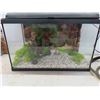 Image 2 : Aquarium with all the Accessories: Heater