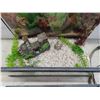 Image 8 : Aquarium with all the Accessories: Heater