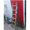 Image 2 : Aluminum Multi Ladder 