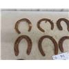 Image 2 : 16 Horse Shoes 